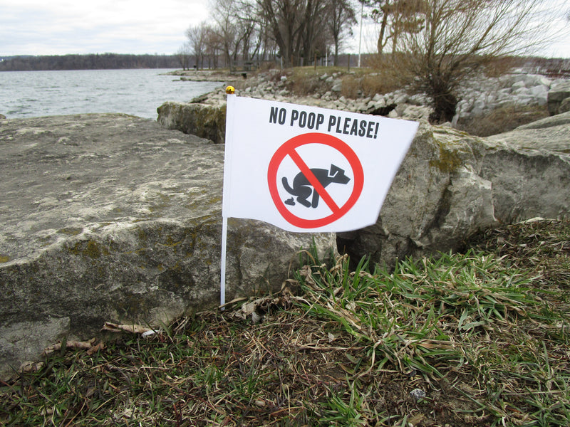 No Poop Please For Yard or Garden Warning Mini Flag