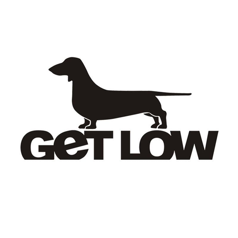 Fun Get Low Pet