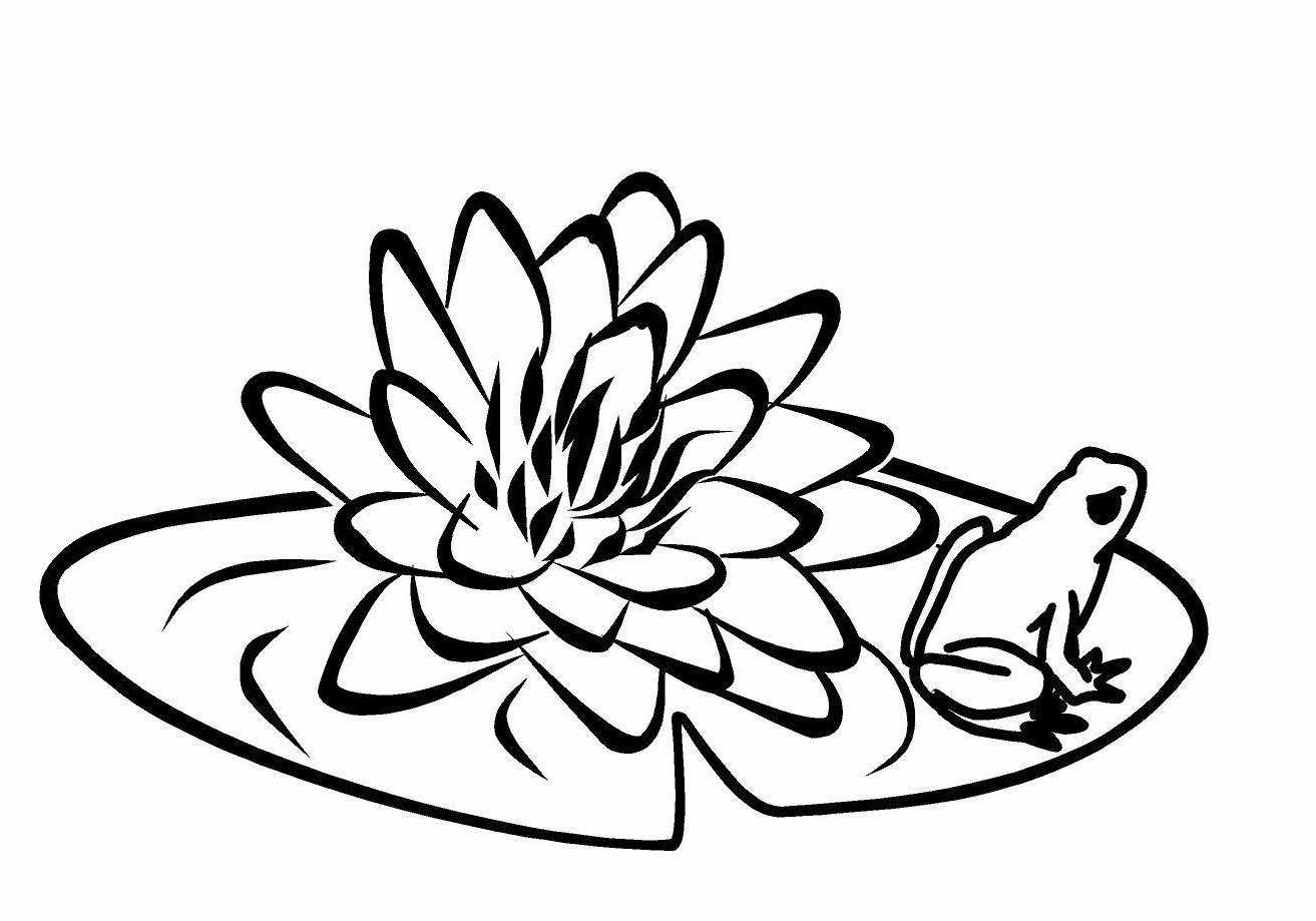 Lily Pad Frog Decal Floral Decal Lily Pad Decal Frog Decal Custom Vinyl Computer Laptop Car auto vehicle window decal custom sticker Decal