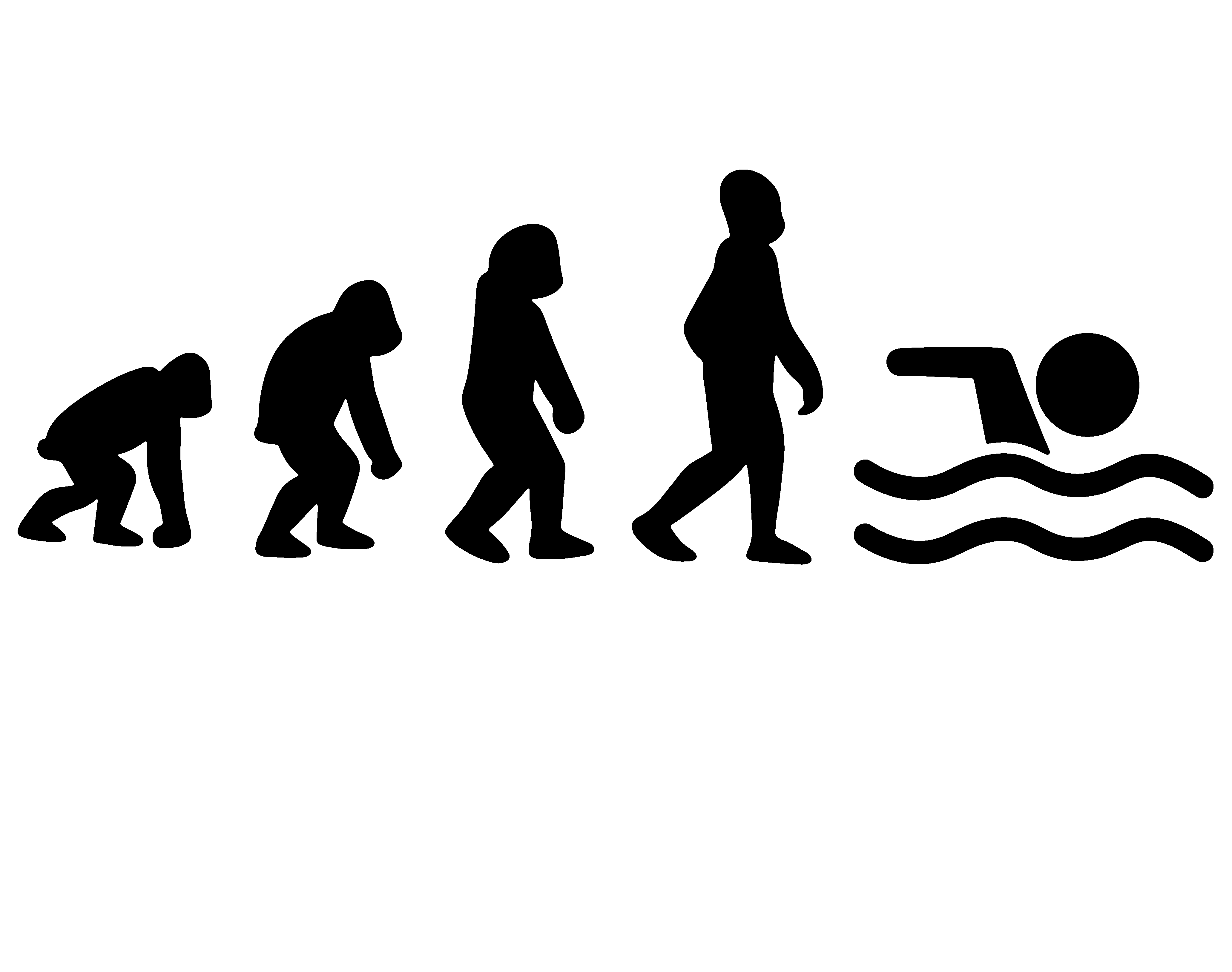 Swimming Swim Evolution Evolve Vinyl Decal Sticker