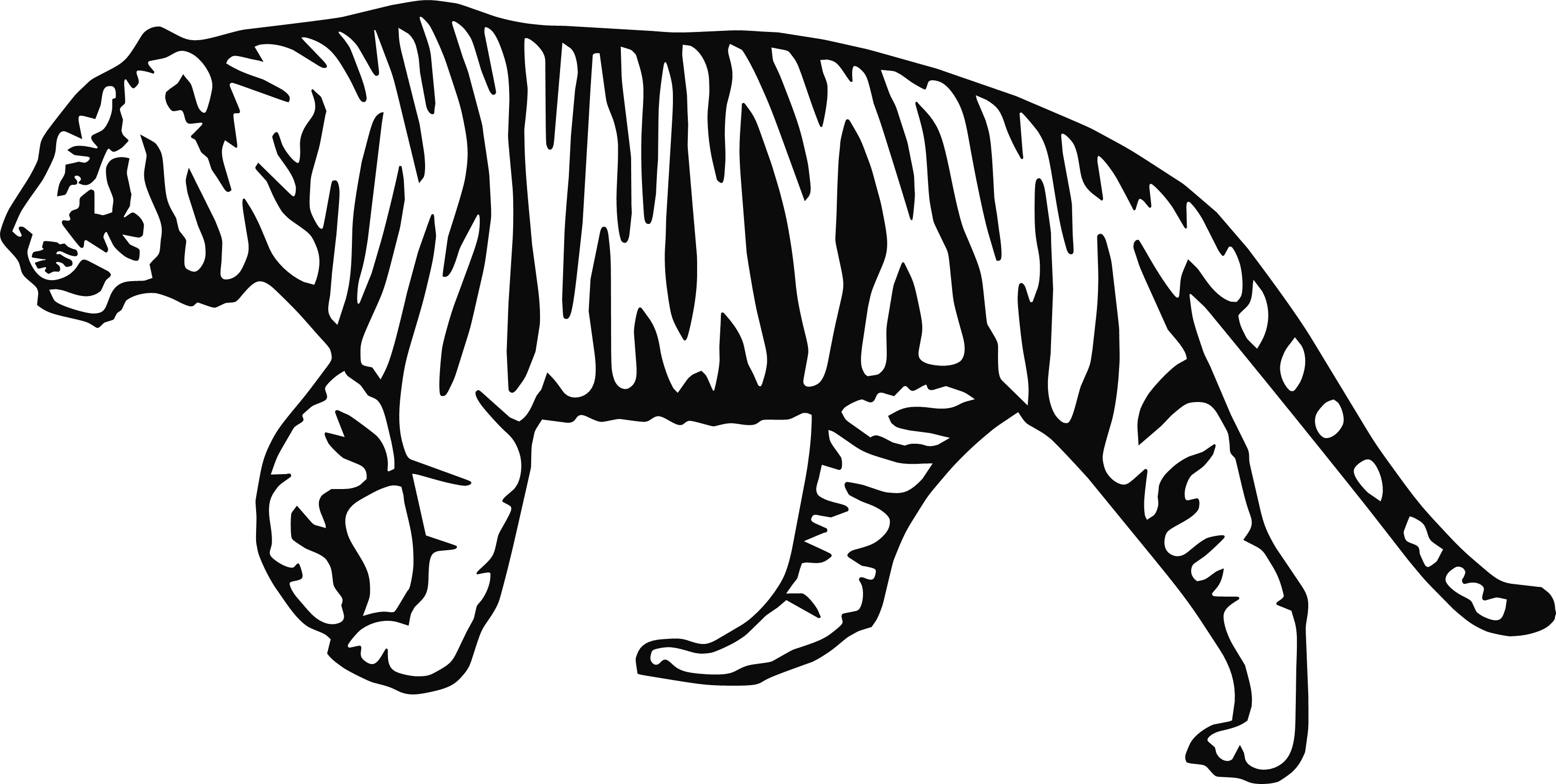 TIGER Vinyl Decal Sticker Car Window Wall Bumper Exotic Big Cat Animal King Joe