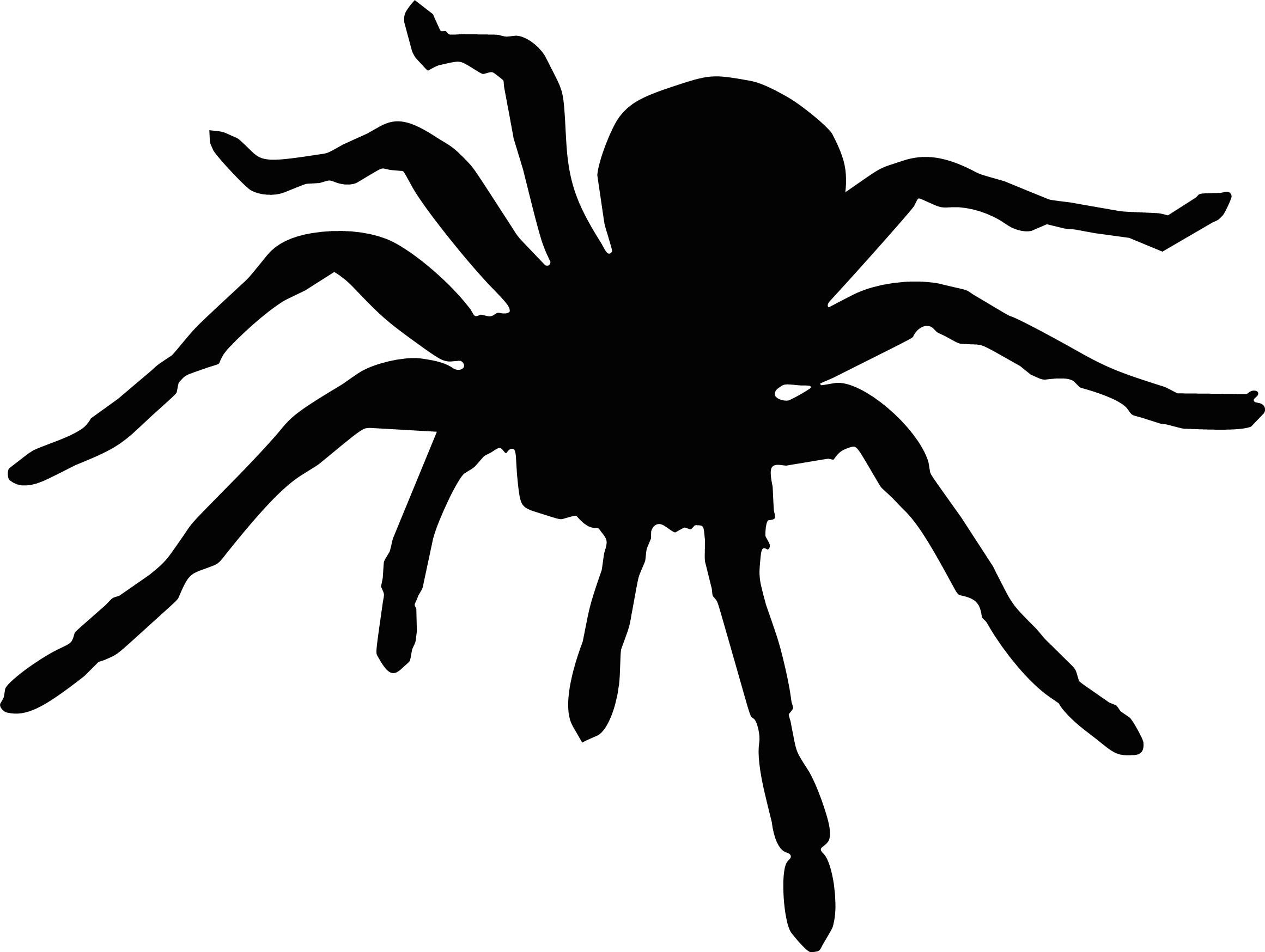 Tarantula 2 Spider Decal Vinyl Car Truck Vehicle Van SUV Animal