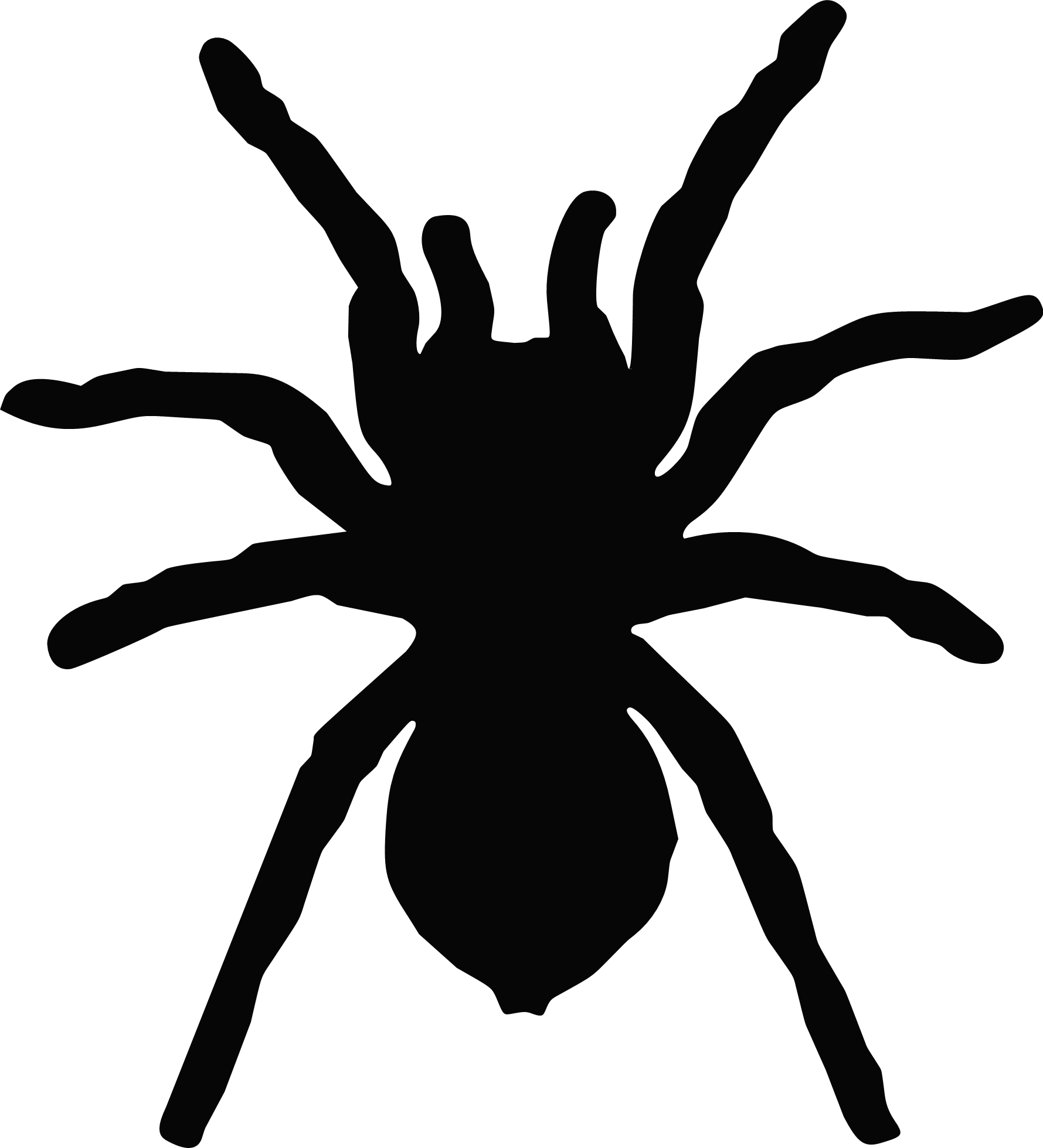 Tarantula Spider Decal Vinyl Car Truck Vehicle Van SUV Animal