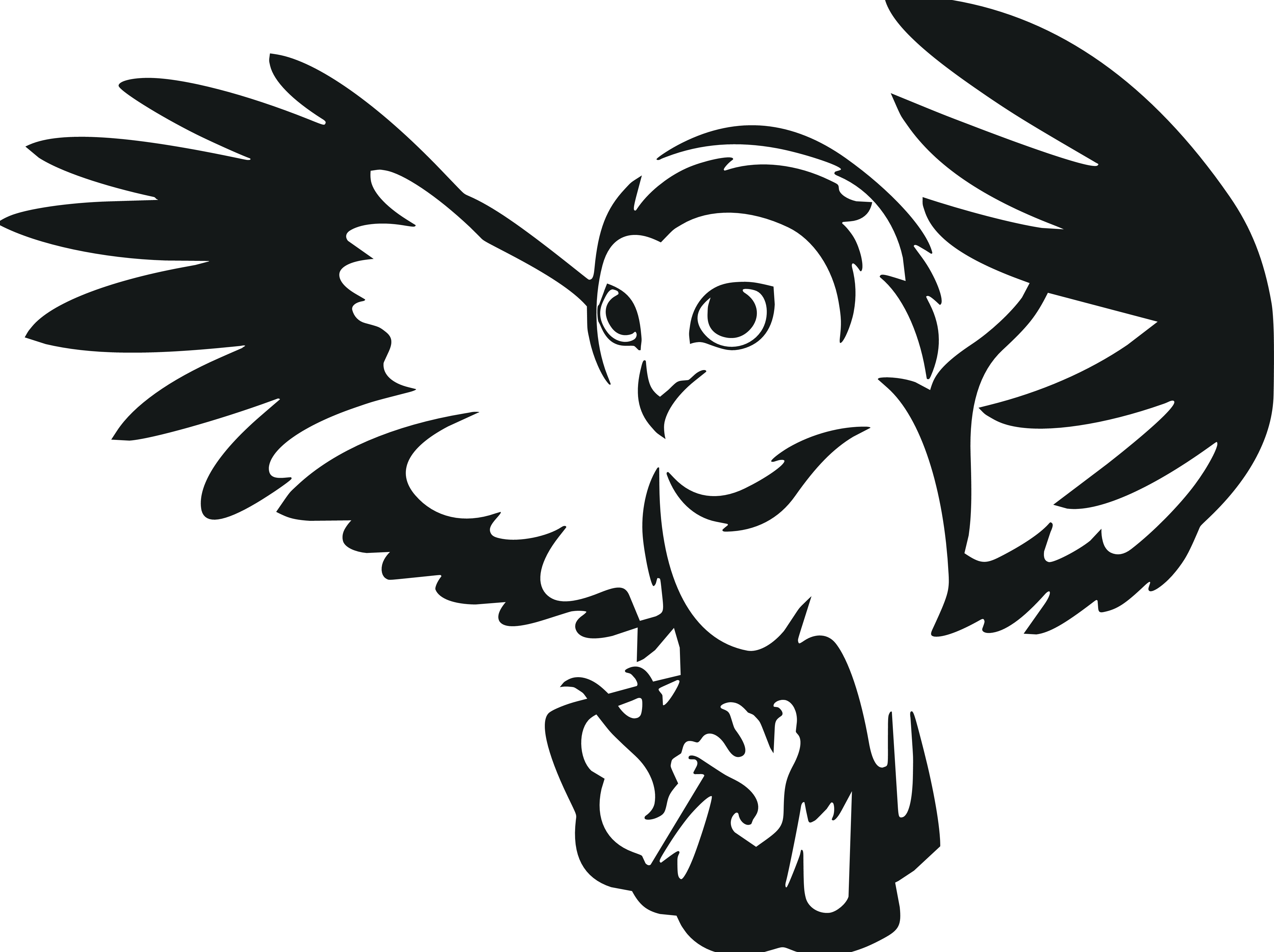 Vinyl Owl decal sticker car bike truck window graphic
