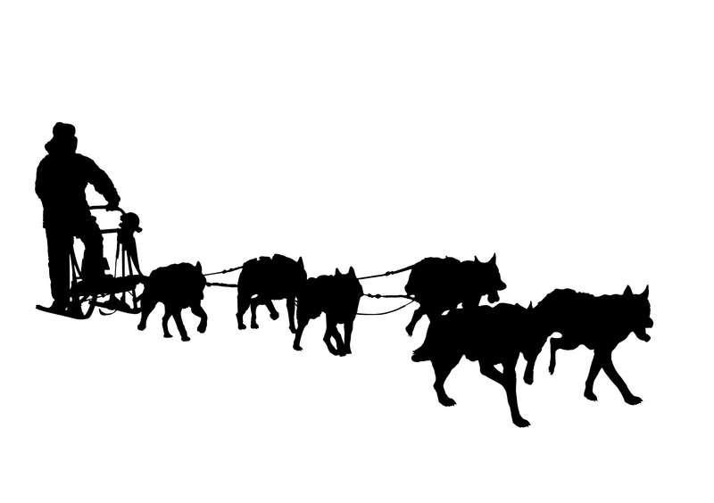 dog sled car Decal