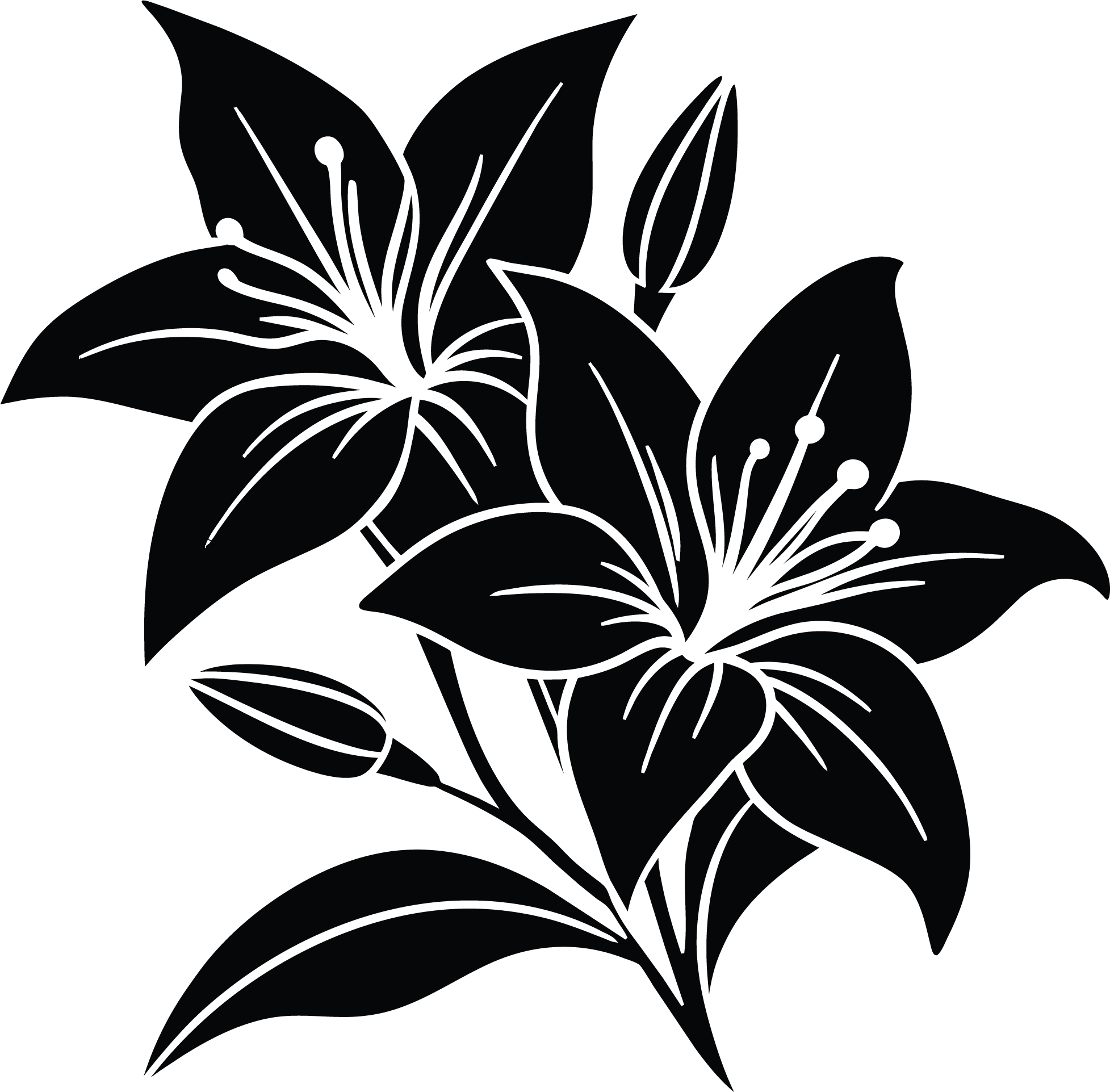 Lily Sticker Beautiful Lily Flower Blossom Lilies Garden Plant Outdoor Nature Vinyl ...