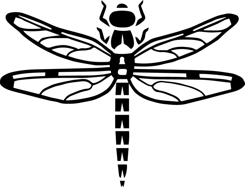 Detailed Dragonfly Flying Bug Insect Summer Spring Nature Vinyl Decal Sticker Style 14