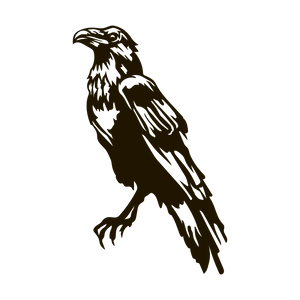 Detailed Raven Crow Perched Flying Bird Animal Vinyl Decal Sticker