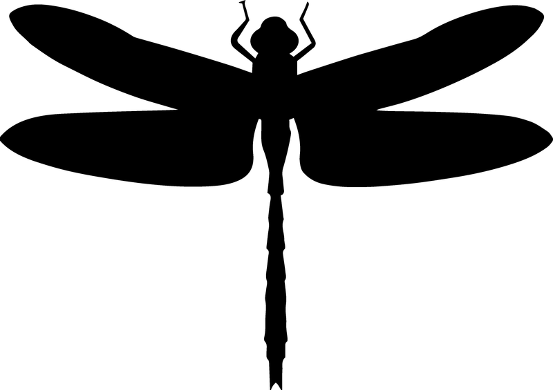 Dragonfly Bug Flying Insect Summer Spring Nature Vinyl Decal Sticker Style 12