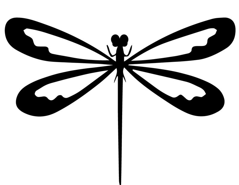 Dragonfly Detailed Wings Bug Insect Summer Spring Nature Vinyl Decal Sticker Style 4