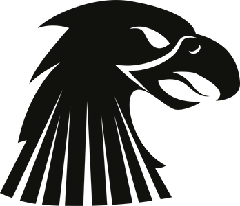 Fierce Eagle Falcon Hawk Head Flying Bird Vinyl Decal Sticker
