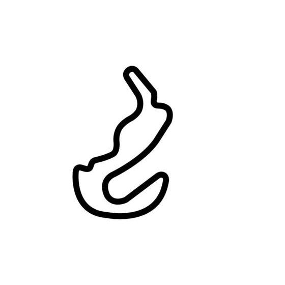 Spring Mountain Motorsports Ranch Kart 12 Circuit Race Track Outline V ...