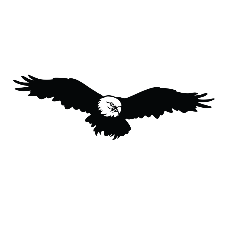 Wide Wing Eagle Soaring Bird American Animal Nature Vinyl Decal Sticker