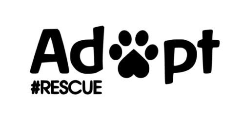 Adopt #Rescue Dog or Cat Decal  Sticker Dog Car Decal Cat Car Decal