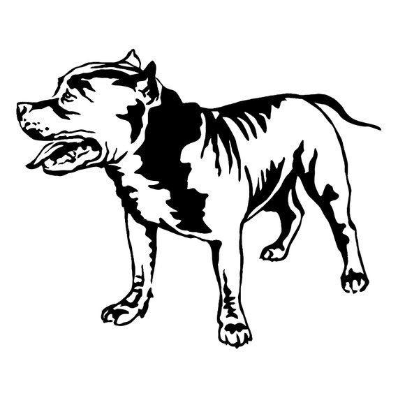 American Staffordshire Dog Decal