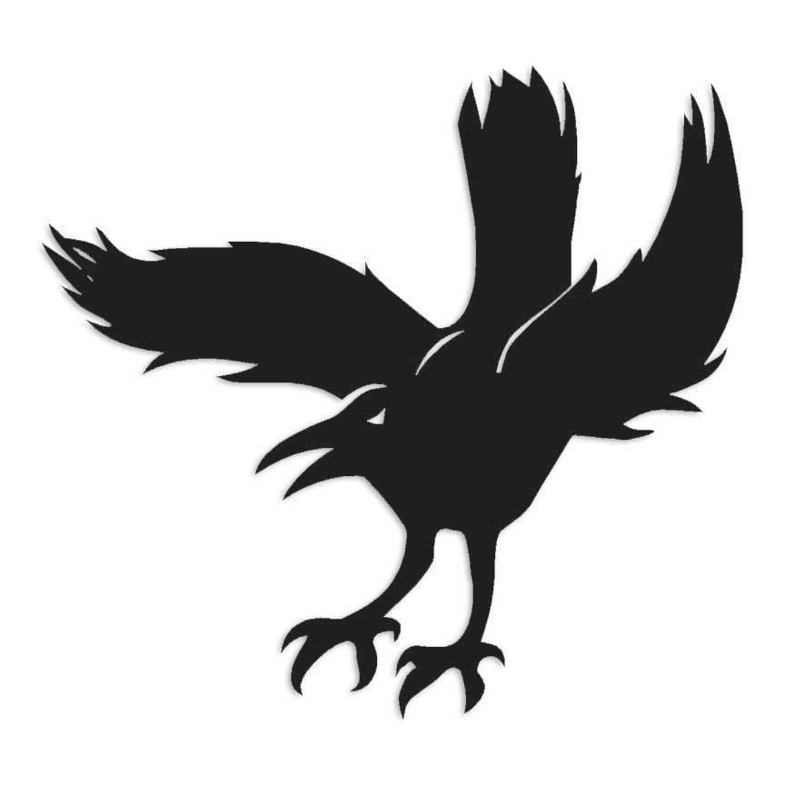 Angry Crow Raven Bird Decal Sticker