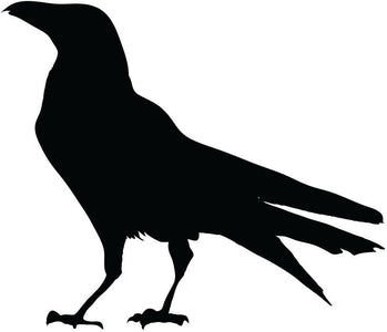 Black Bird silhouette vinyl decal sticker raven crow birds