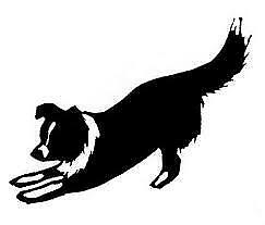 Border Collie Decal Vinyl Sticker Truck Laptop Car Window