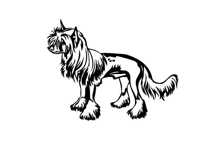 Chinese Crested Dog Decal Chinese Crested Dog Breed Decal Chinese Crested Vinyl Decal Custom Car Decal Dog lovers Chinese Crested decal