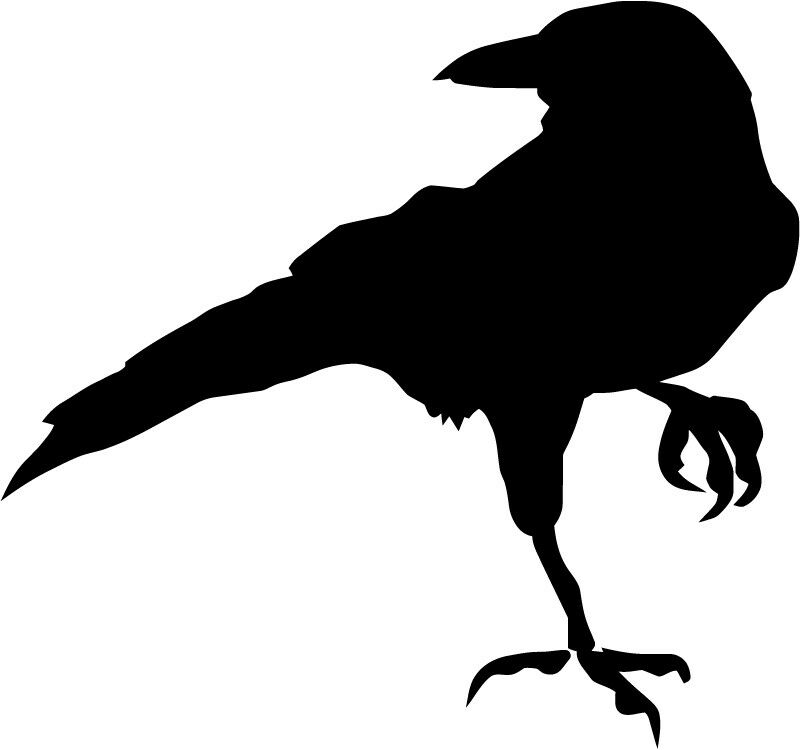 Crow Raven Blackbird Vinyl Decal any color bumper sticker bird animal