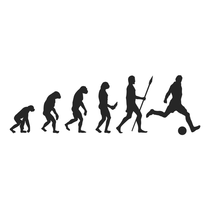 Evolution Soccer Football Sports Game Vinyl Decal Sticker