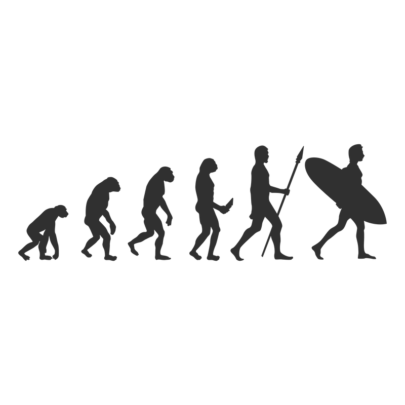 Evolution Surf Surfing Sports Game Vinyl Decal Sticker