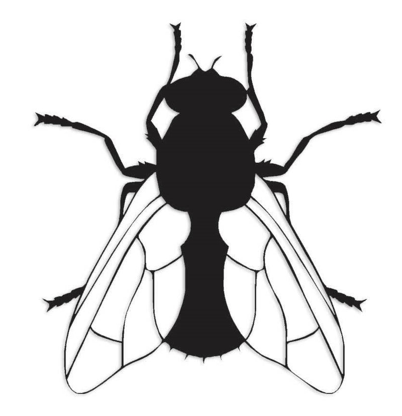 Fly Insect Bug Decal Sticker