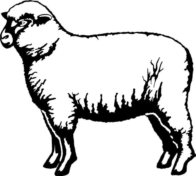 Lamb Wool Coat Fur Chops Food Farm Ranch Vinyl Decal Sticker