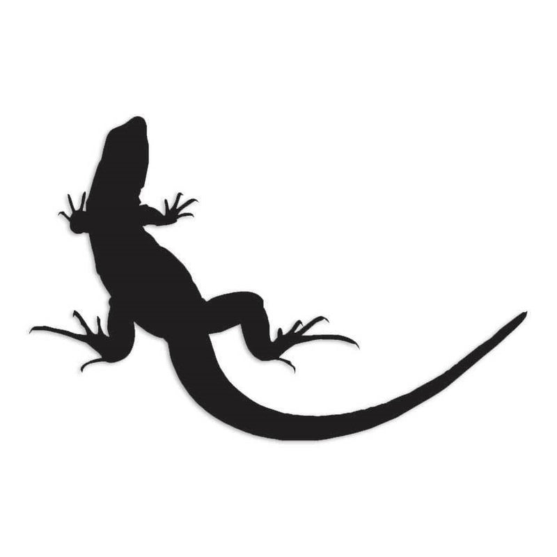 Lizard Gecko Anole Decal Sticker