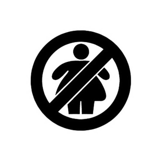 No Fat Chick Girl Joke Import Die-Cut Decal Vinyl Sticker Styling Funny Stickers JDM