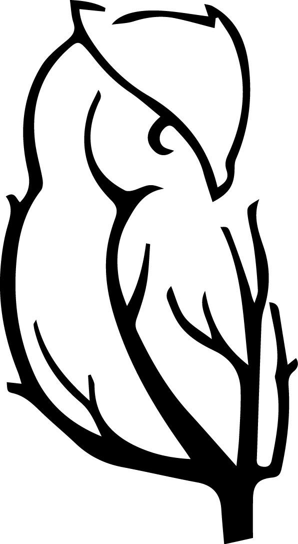 Owl Branches Decal Window Bumper Sticker Car Decor Wildlife Birds Owls Tree Pet