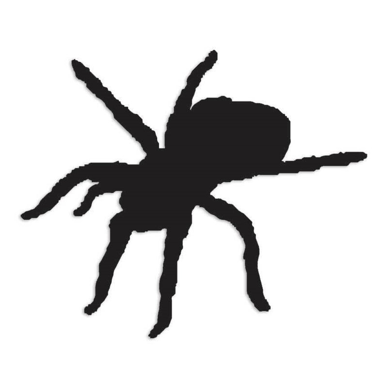 Spider Arachnid Tarantula Decal Sticker