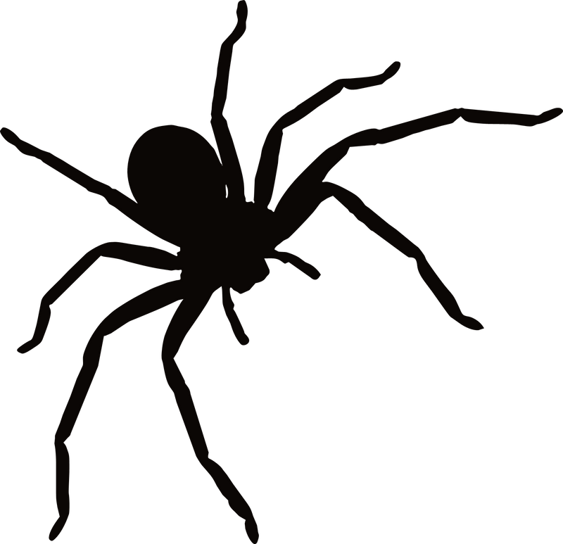 Spider Crawling Wall Laptop Car Vinyl Decal Sticker