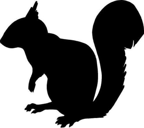 Squirrel silhouette vinyl decal sticker