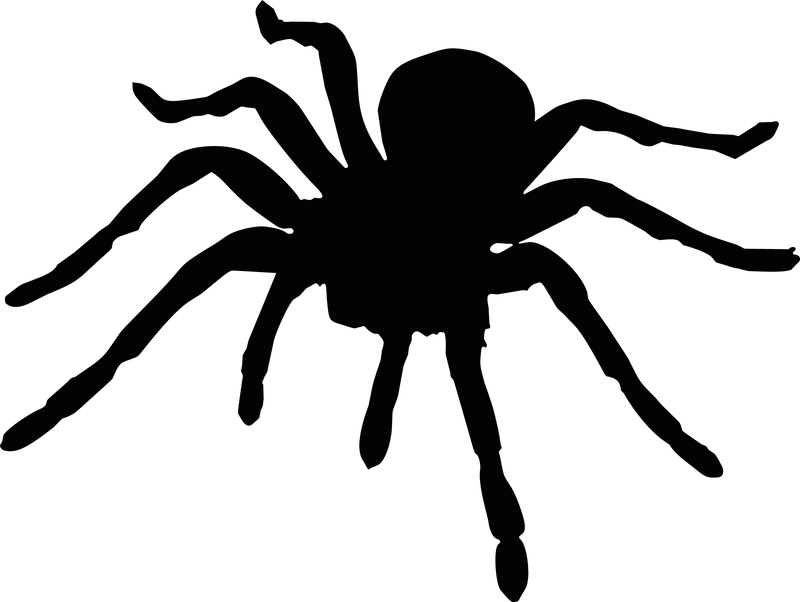 Tarantula 2 Spider Decal Vinyl Car Truck Vehicle Van SUV Animal