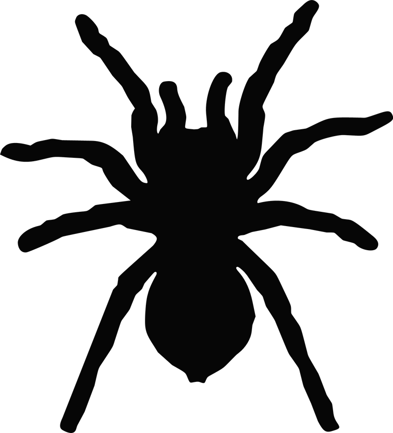 Tarantula Spider Decal Vinyl Car Truck Vehicle Van SUV Animal