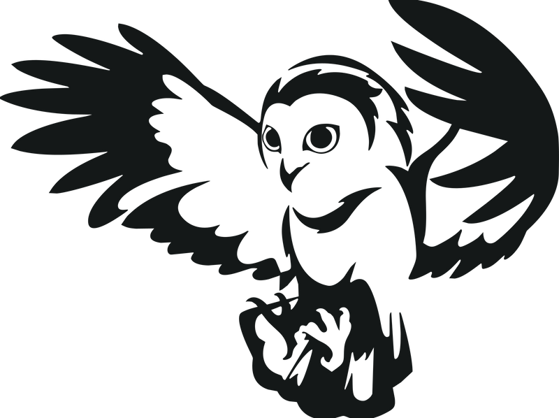 Vinyl Owl decal sticker car bike truck window graphic