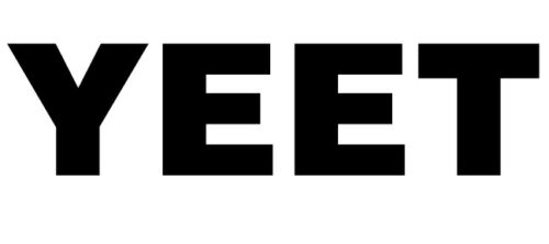 YEET vinyl decal sticker vine dance laptop car meme window glass cup