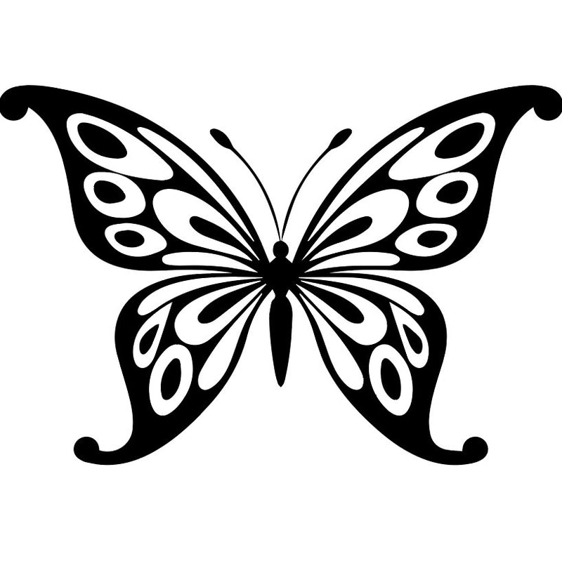 butterfly