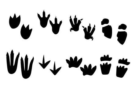dinosaur black and white footprint vector