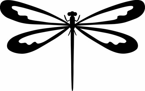 dragonfly decal window symbolizes change bumper sticker bug insect car decor