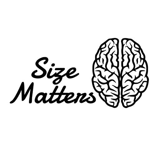 size matters adult humor brain size education iq matters decal brain matter