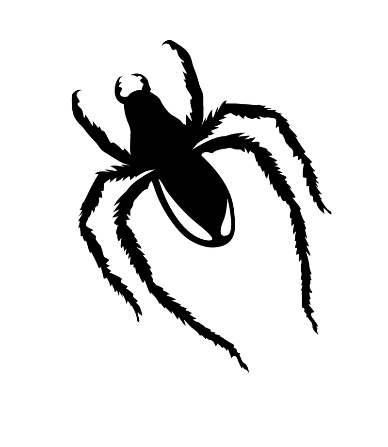 spider decal spider vinyl die-cut spider sticker